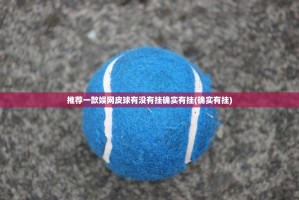 推荐一款娱网皮球有没有挂确实有挂(确实有挂)