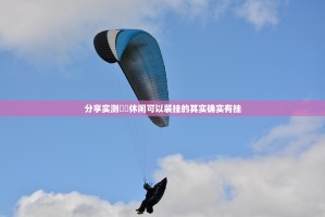 分享实测鷗動休闲可以装挂的其实确实有挂