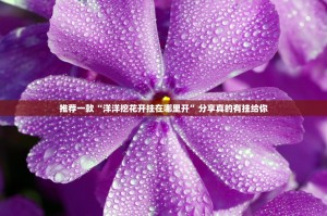 重磅.来袭“汇友“能不能开挂”确实有挂”分享真的有挂给你