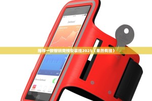 推荐一款智玩竞技安装挂2025（果然有挂）