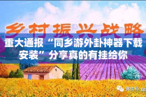 重磅.来袭娱网皮球到底有没有挂装!其实是有挂√其实是有挂