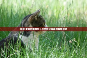 重大通报掌中乐游戏中心究竟有没有透视挂果然有挂