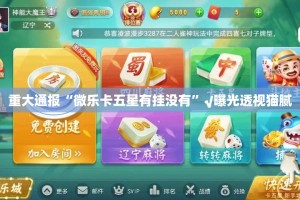 重大通报“微乐卡五星有挂没有”√曝光透视猫腻