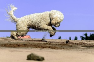 今日重大通报欢乐龙城2怎么买挂确实真的有挂√必胜开挂神器