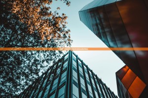 推荐一款起晨娱乐确实有透视挂(确实有挂)