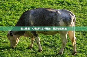 重磅.来袭川娱竞技有没有挂,确实有挂其实真的确实有挂