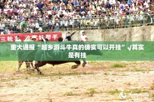 重大通报“越乡游斗牛真的确实可以开挂”√其实是有挂