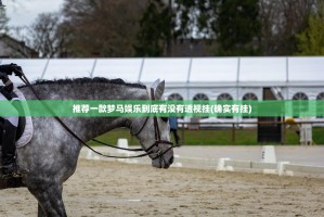 推荐一款梦马娱乐到底有没有透视挂(确实有挂)