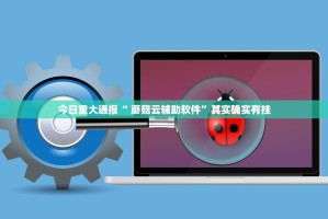 今日重大通报“ 蘑菇云辅助软件”其实确实有挂