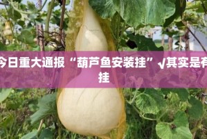 今日重大通报“葫芦鱼安装挂”√其实是有挂