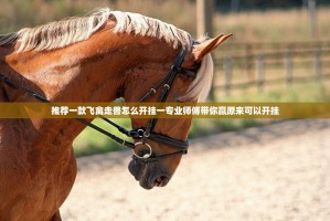 推荐一款飞禽走兽怎么开挂一专业师傅带你赢原来可以开挂
