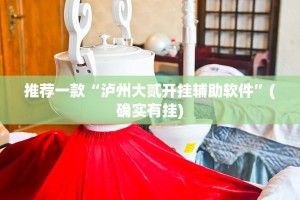 推荐一款“泸州大贰开挂辅助软件”(确实有挂)