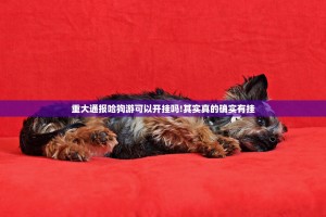 重磅.来袭涡阳茶馆到底是不是挂原来可以开挂