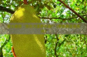 分享实测丰城双剑怎样开挂!(原来确实是有挂)