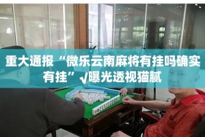 重大通报“微乐云南麻将有挂吗确实有挂”√曝光透视猫腻