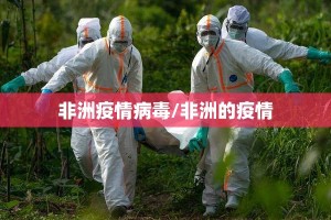 非洲疫情病毒/非洲的疫情