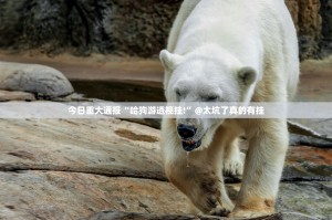 今日重大通报“哈狗游透视挂!”@太坑了真的有挂