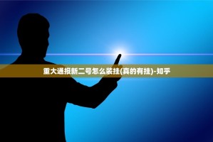 重大通报新二号怎么装挂(真的有挂)-知乎