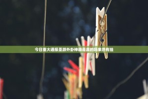 今日重大通报圣游外卦神器是真的吗果然有挂