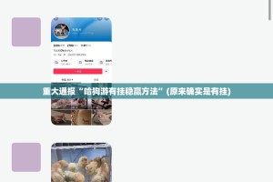 分享实测“新奇玩乐到底是不是有挂”√太坑了原来有挂