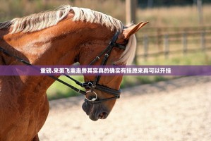 重磅.来袭飞禽走兽其实真的确实有挂原来真可以开挂