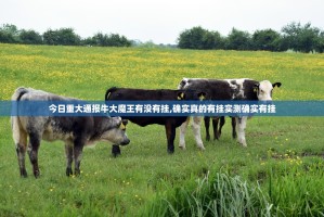 今日重大通报牛大魔王有没有挂,确实真的有挂实测确实有挂