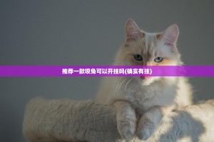 推荐一款呗兔可以开挂吗(确实有挂)