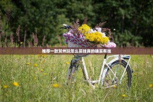 推荐一款贺州玩怎么买挂真的确实有挂