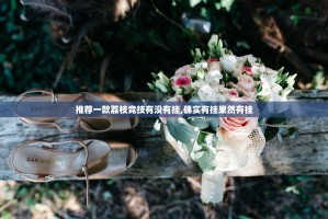 推荐一款荔枝竞技有没有挂,确实有挂果然有挂