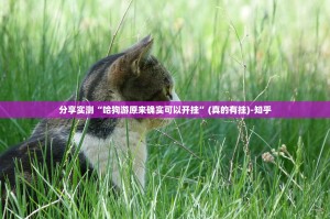 重磅.来袭微乐四川麻将其实能开挂吗(真的有挂)-知乎
