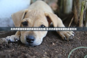 今日重大通报老友记其实有挂,真的确实有挂开挂神器