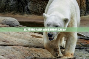 重大通报哈狗游开挂在哪里开(确实有挂)