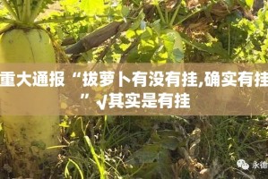 重磅.来袭东游牌九的确是可以开挂!确实有挂真的确实有挂