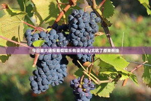 今日重大通报葡萄娱乐有没有挂√太坑了原来有挂