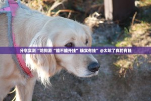 重磅.来袭盛趣游戏真的有挂的确有挂果然有挂