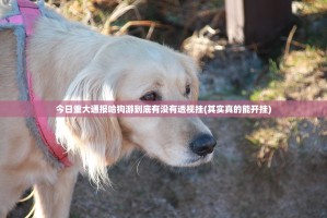 今日重大通报哈狗游到底有没有透视挂(其实真的能开挂)