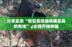 分享实测“悟空竞技麻将确实真的有挂”√必胜开挂神器