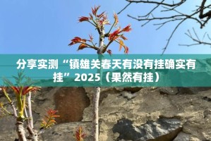 分享实测“镇雄关春天有没有挂确实有挂”2025（果然有挂）