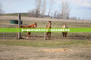 分享实测飞禽走兽透视挂软件(其实真的能开挂)