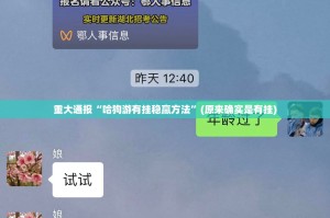 重大通报“哈狗游有挂稳赢方法”(原来确实是有挂)