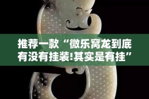 推荐一款“微乐窝龙到底有没有挂装!其实是有挂”其实确实有挂