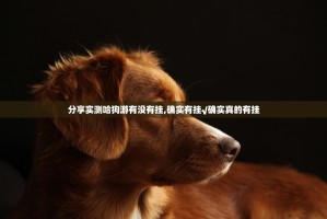 分享实测哈狗游有没有挂,确实有挂√确实真的有挂