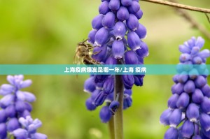 重磅.来袭wpkplus有挂吗确实有挂@太坑了真的有挂