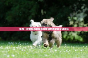 推荐一款哈狗游开挂怎么使用的原来真可以开挂