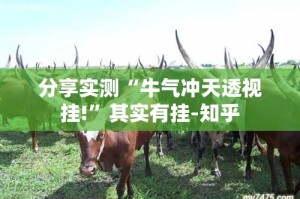 分享实测“牛气冲天透视挂!”其实有挂-知乎