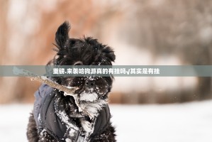 重大通报哈局八张究竟是不是有挂吗真的确实有挂