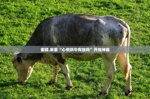 今日重大通报闽游麻将果然有挂√确实真的有挂