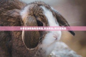 分享实测呗兔有没有挂,其实有挂√其实是有挂