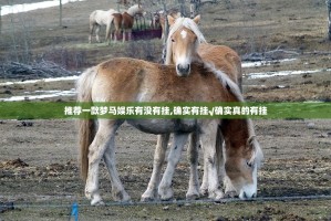 推荐一款梦马娱乐有没有挂,确实有挂√确实真的有挂