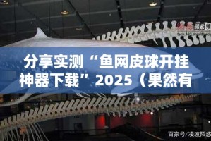 重磅.来袭新时代辅助挂 2025（果然有挂）